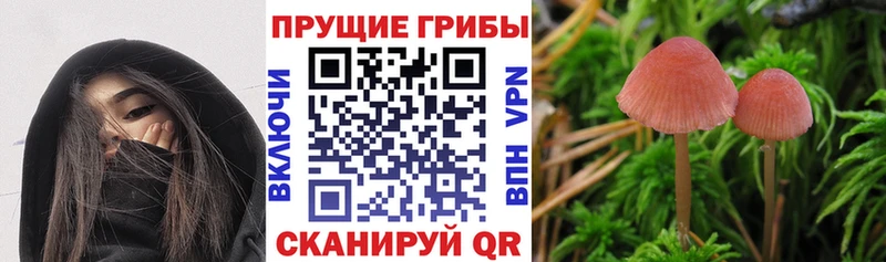 Псилоцибиновые грибы MAGIC MUSHROOMS  Ермолино 
